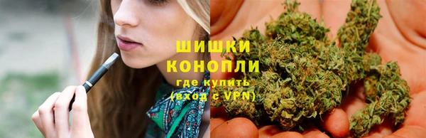 МДПВ Горно-Алтайск