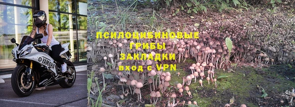 МДПВ Горно-Алтайск