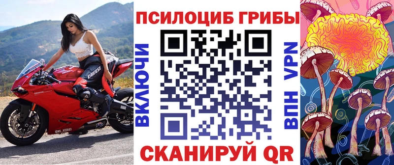 Псилоцибиновые грибы мухоморы  Купить  Новотроицк 